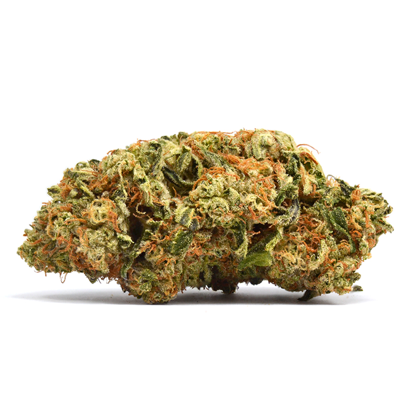 Cookies THCa: What Makes This Strain So Special?