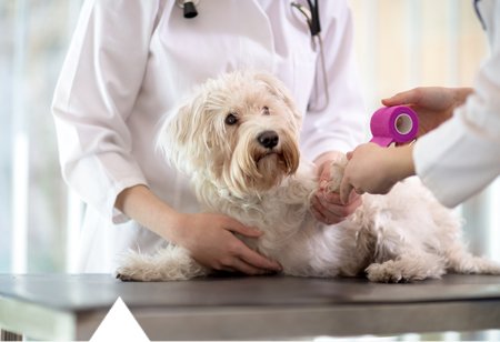 Specialist diagnostic services pathology