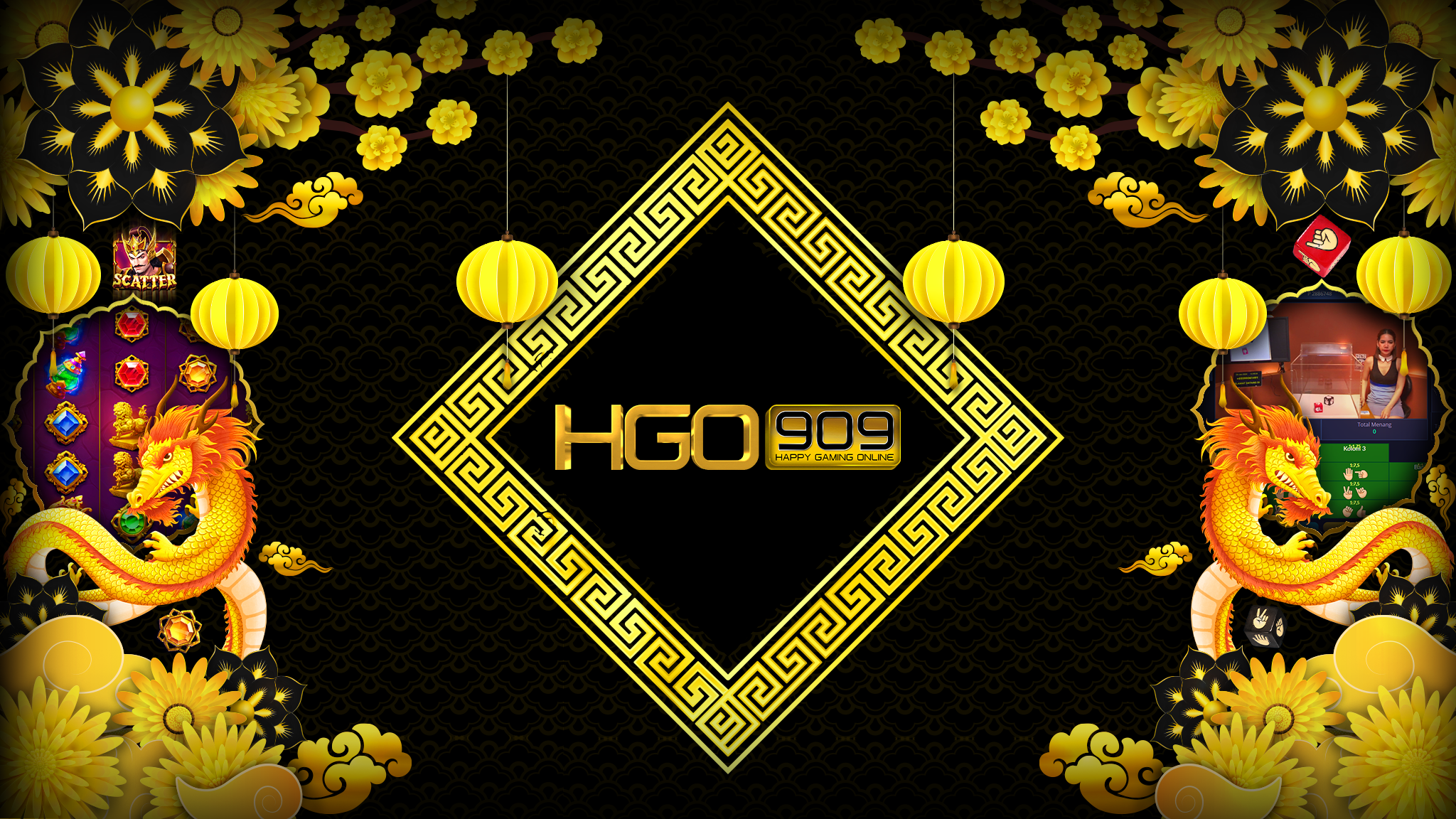 hgo909