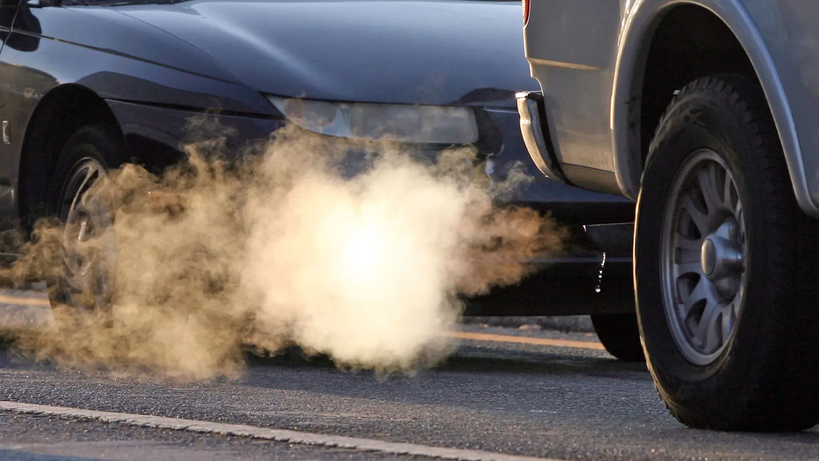 Smog Check